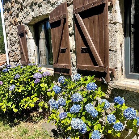 Gite Des Sausses Dans Une Nature Preservee Burzet Dış mekan fotoğraf