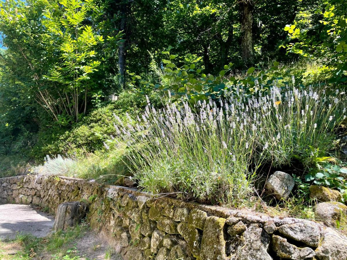 Gite Des Sausses Dans Une Nature Preservee Burzet Dış mekan fotoğraf